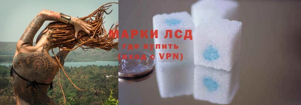ПСИЛОЦИБИНОВЫЕ ГРИБЫ Кодинск