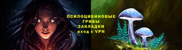 ПСИЛОЦИБИНОВЫЕ ГРИБЫ Кодинск